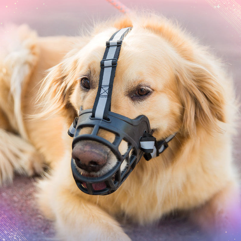 Adjustable Breathable Dog Muzzle for Biting, Chewing, Barking, and Training - Safe and Comfortable Mouth Cover for Small, Medium, and Large Dogs