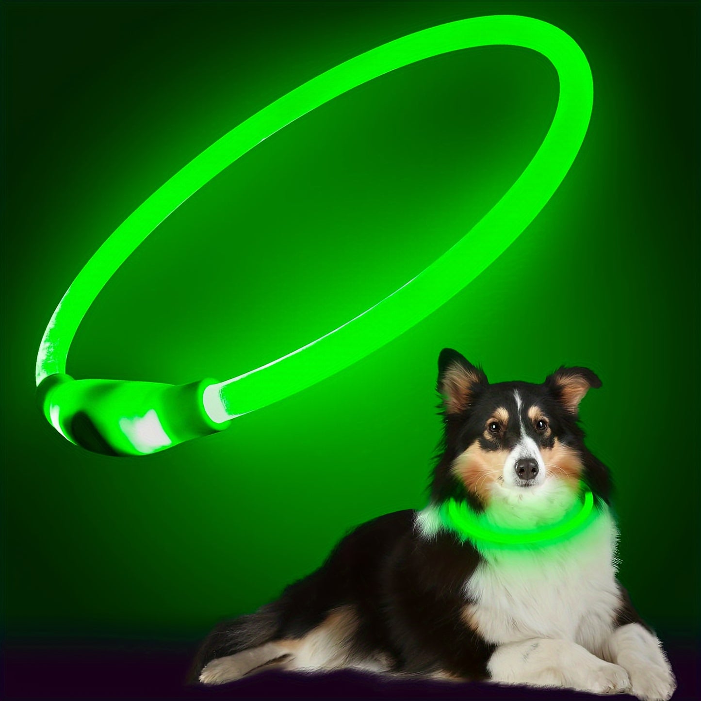 LED Dog Collar, Adjustable Light-Up Safety Pet Necklace, USB Rechargeable, Anti-Lost Luminous Collar For Nighttime Visibility, Durable ABS Material