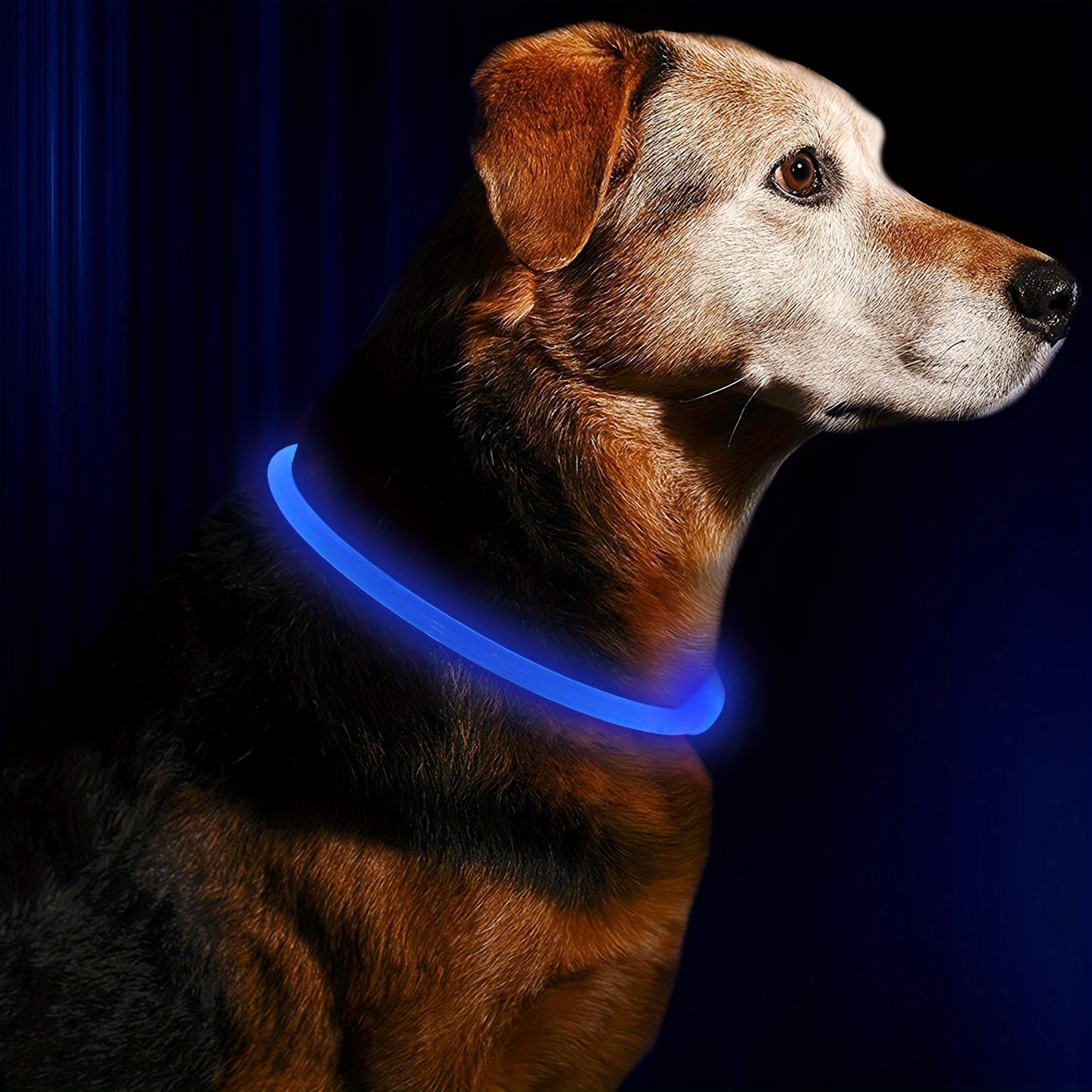 LED Dog Collar, Adjustable Light-Up Safety Pet Necklace, USB Rechargeable, Anti-Lost Luminous Collar For Nighttime Visibility, Durable ABS Material