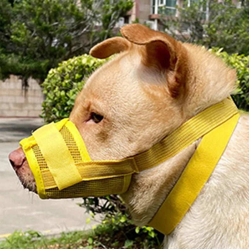 Dog Muzzle Anti-Chew Anti-Detachment Pet Masks for Small, Medium, Large Pet Anti-Ingestion Anti-Detachment Dog Leash Muzzle