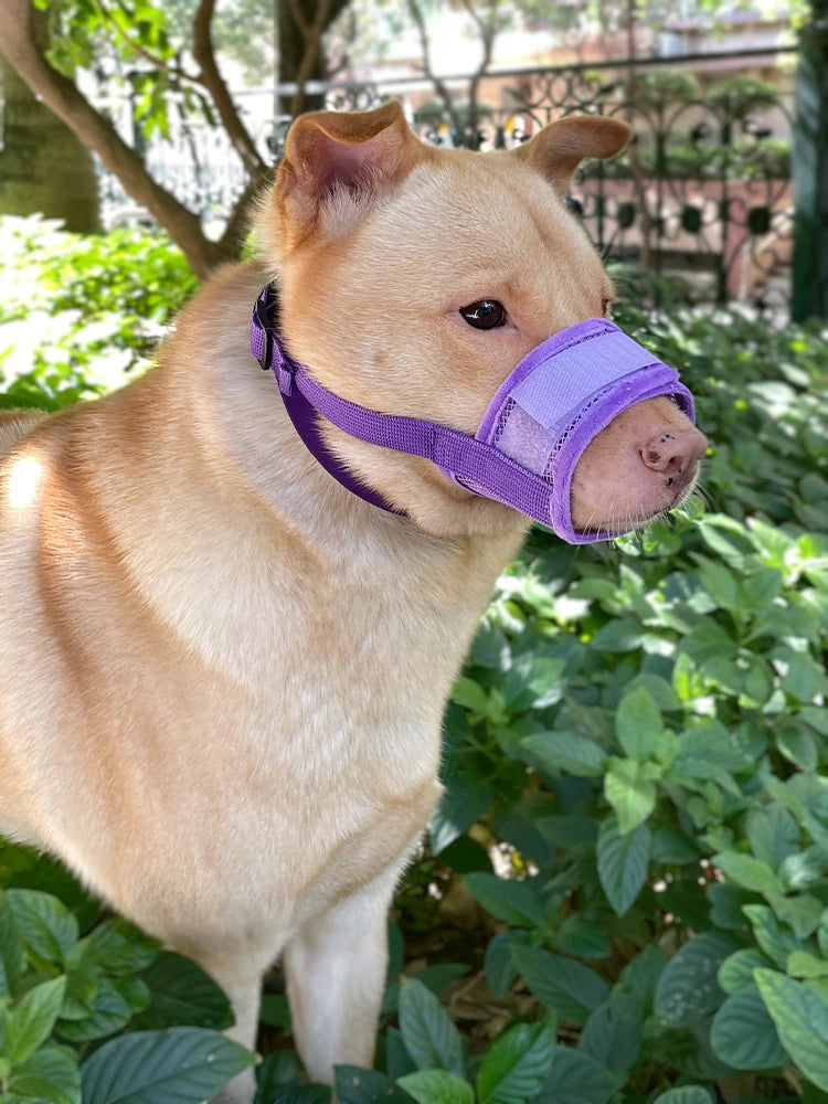 Dog Muzzle Anti-Chew Anti-Detachment Pet Masks for Small, Medium, Large Pet Anti-Ingestion Anti-Detachment Dog Leash Muzzle