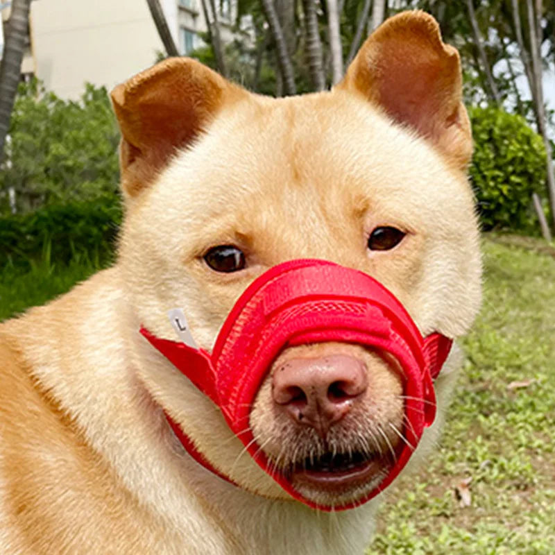 Dog Muzzle Anti-Chew Anti-Detachment Pet Masks for Small, Medium, Large Pet Anti-Ingestion Anti-Detachment Dog Leash Muzzle