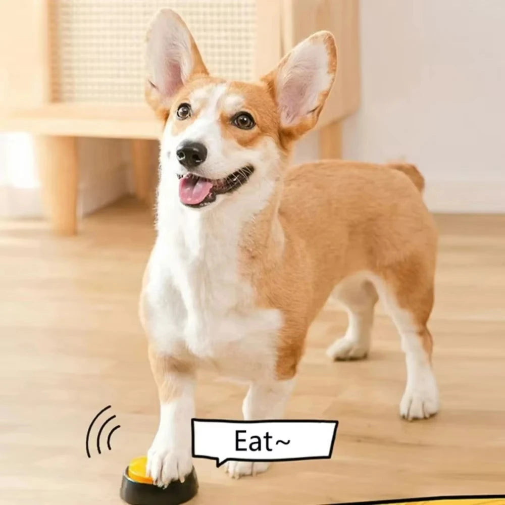 1PCS Dog Communication Buttons Voice Recording Button For Pet Training Buzzer 30 Second Record Playback Funny Gift For Talking