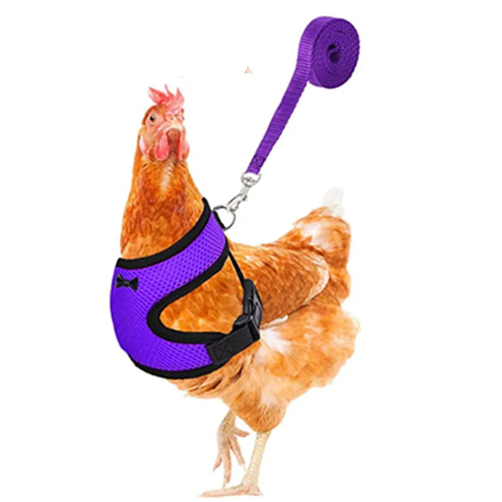 Fashion Chicken Duck Vest Hen Belt Pet Harness Matching Collars Bow Comfortable Leads Breathable Poultry Supplies