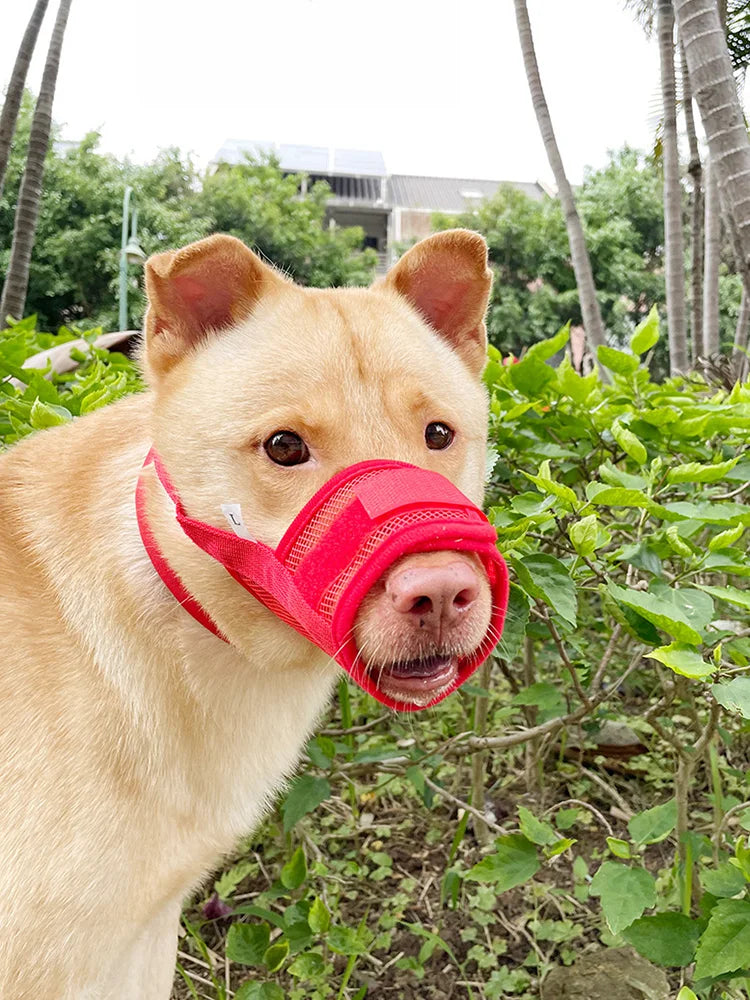 Dog Muzzle Anti-Chew Anti-Detachment Pet Masks for Small, Medium, Large Pet Anti-Ingestion Anti-Detachment Dog Leash Muzzle