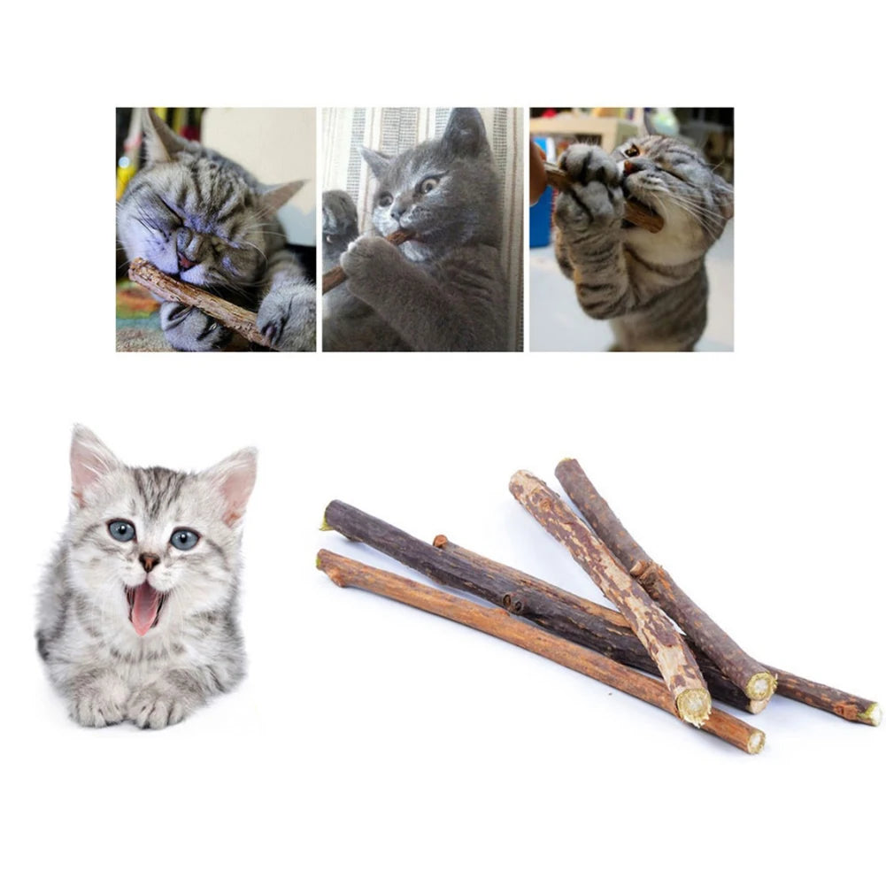 Silvervine Sticks for Cats Natural Catnip Chew Sticks Teeth Molar Chewing Toys for Cat Kitten Kitty Gifts