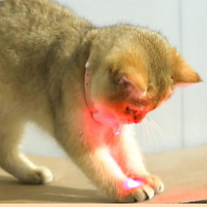 Laser Cat Teasing Toy | Cat Interactive Toy Kitten Playing Toy