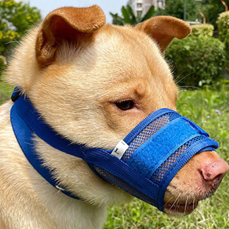 Dog Muzzle Anti-Chew Anti-Detachment Pet Masks for Small, Medium, Large Pet Anti-Ingestion Anti-Detachment Dog Leash Muzzle