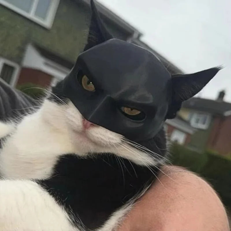 Halloween Black Bat Cat Avenger Mask