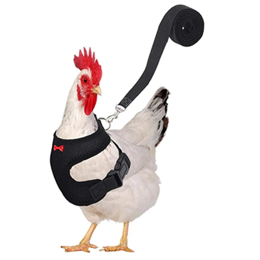 Fashion Chicken Duck Vest Hen Belt Pet Harness Matching Collars Bow Comfortable Leads Breathable Poultry Supplies