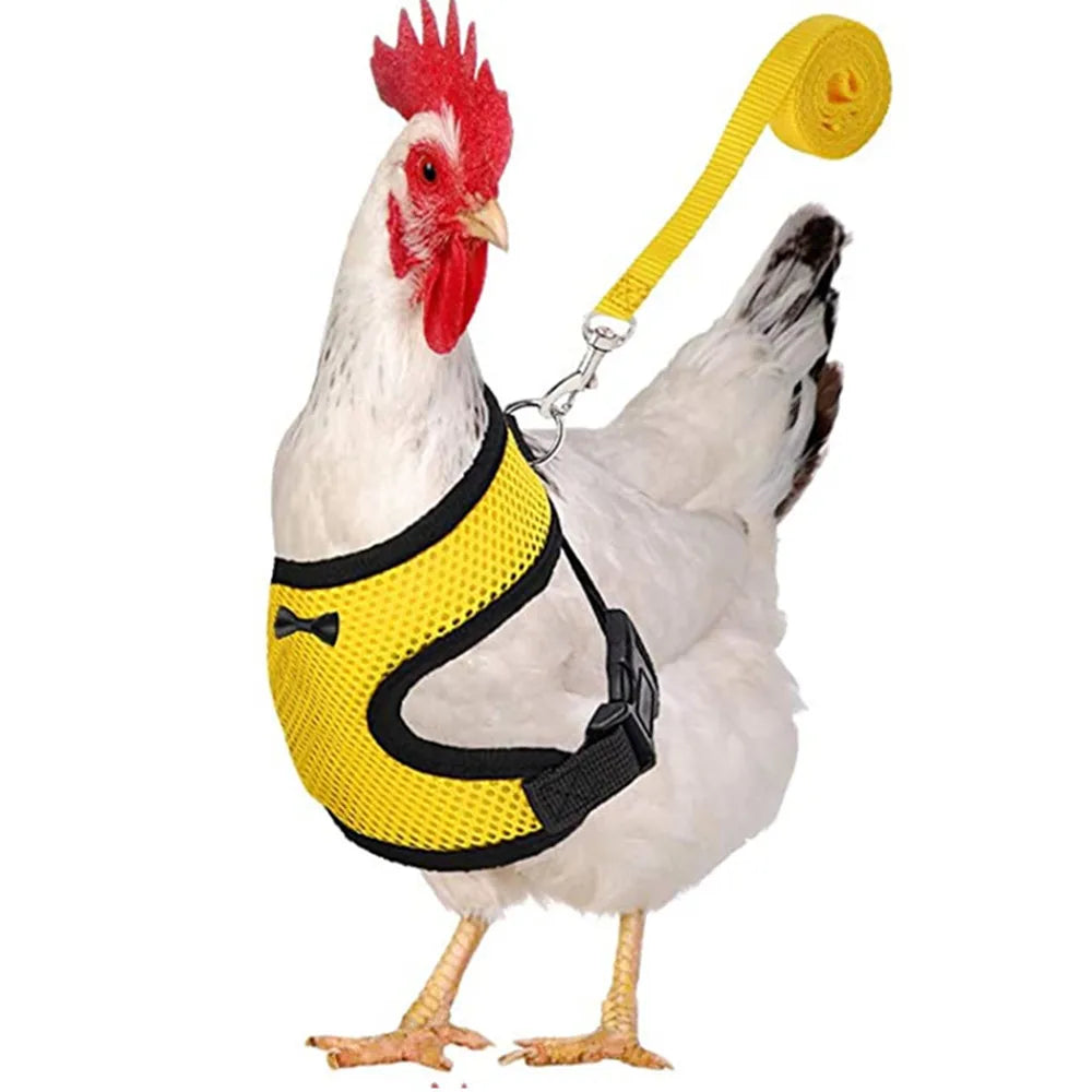 Fashion Chicken Duck Vest Hen Belt Pet Harness Matching Collars Bow Comfortable Leads Breathable Poultry Supplies