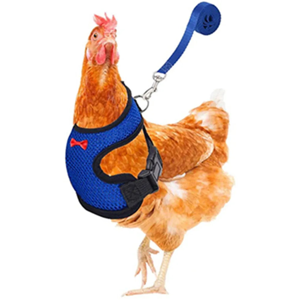 Fashion Chicken Duck Vest Hen Belt Pet Harness Matching Collars Bow Comfortable Leads Breathable Poultry Supplies