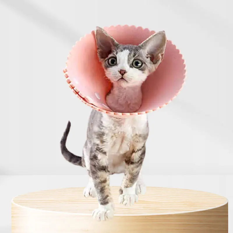 Cat Recovery Collar Wound Healing Protection Elizabethan Collar Surgery Anti-Lick Cat Collar Anti-Bite Pet Cat Accessories