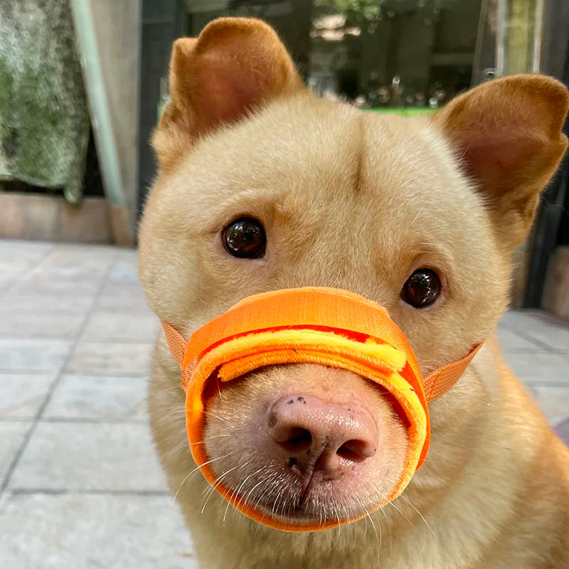 Dog Muzzle Anti-Chew Anti-Detachment Pet Masks for Small, Medium, Large Pet Anti-Ingestion Anti-Detachment Dog Leash Muzzle