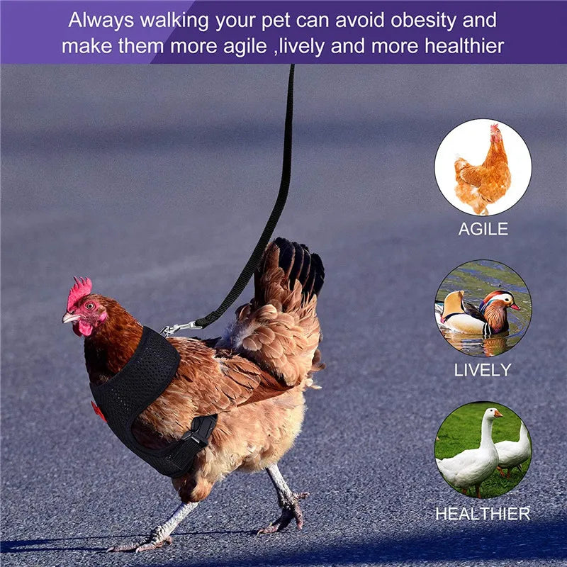 Fashion Chicken Duck Vest Hen Belt Pet Harness Matching Collars Bow Comfortable Leads Breathable Poultry Supplies