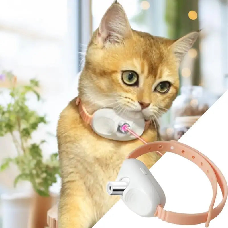 Laser Cat Teasing Toy | Cat Interactive Toy Kitten Playing Toy