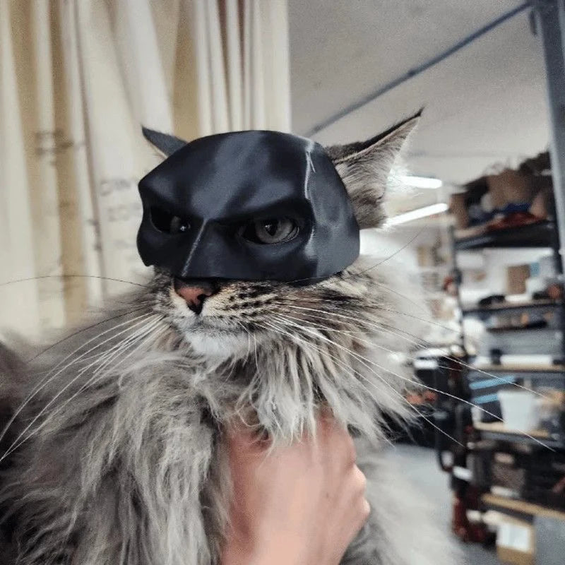 Halloween Black Bat Cat Avenger Mask