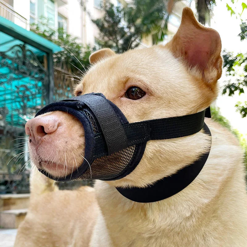 Dog Muzzle Anti-Chew Anti-Detachment Pet Masks for Small, Medium, Large Pet Anti-Ingestion Anti-Detachment Dog Leash Muzzle