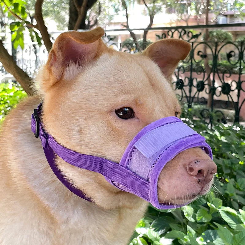 Dog Muzzle Anti-Chew Anti-Detachment Pet Masks for Small, Medium, Large Pet Anti-Ingestion Anti-Detachment Dog Leash Muzzle